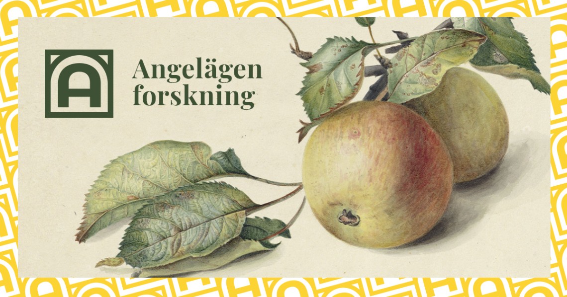 Bild med målade äpplen och logotypen för Angelägen forskning. Bilden är länkad till Digiteket.se.